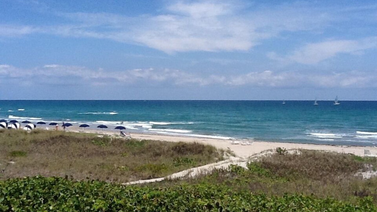 Photo of Others in Delray Beach