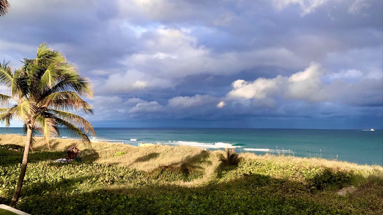 Photo of Others in Delray Beach