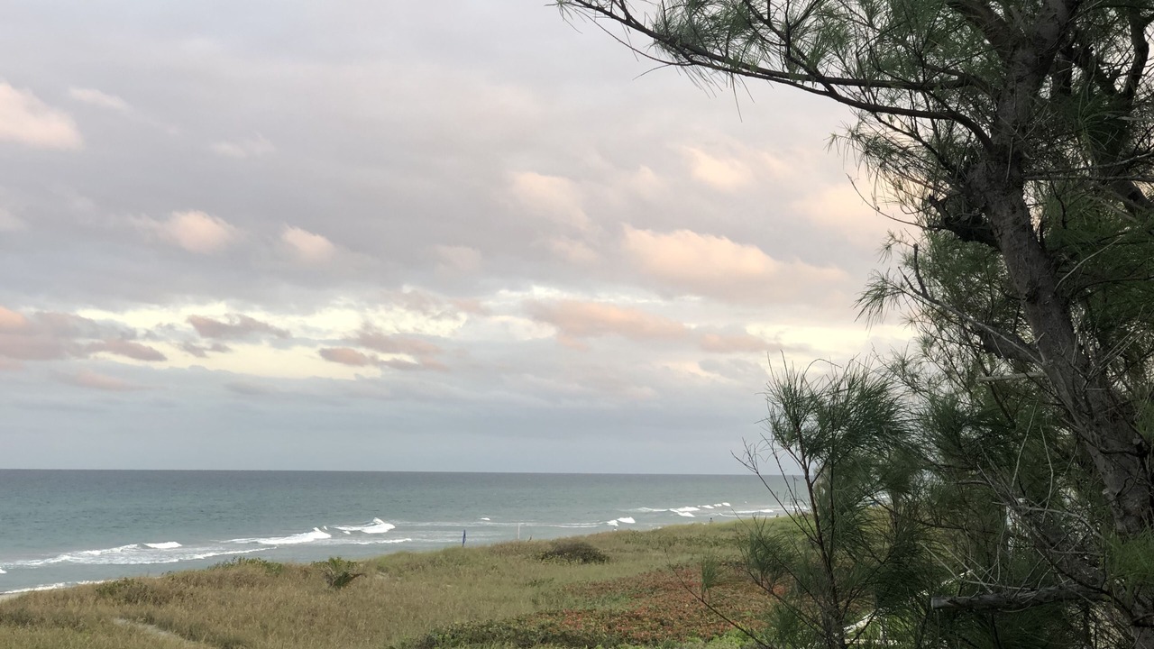 Photo of Others in Delray Beach