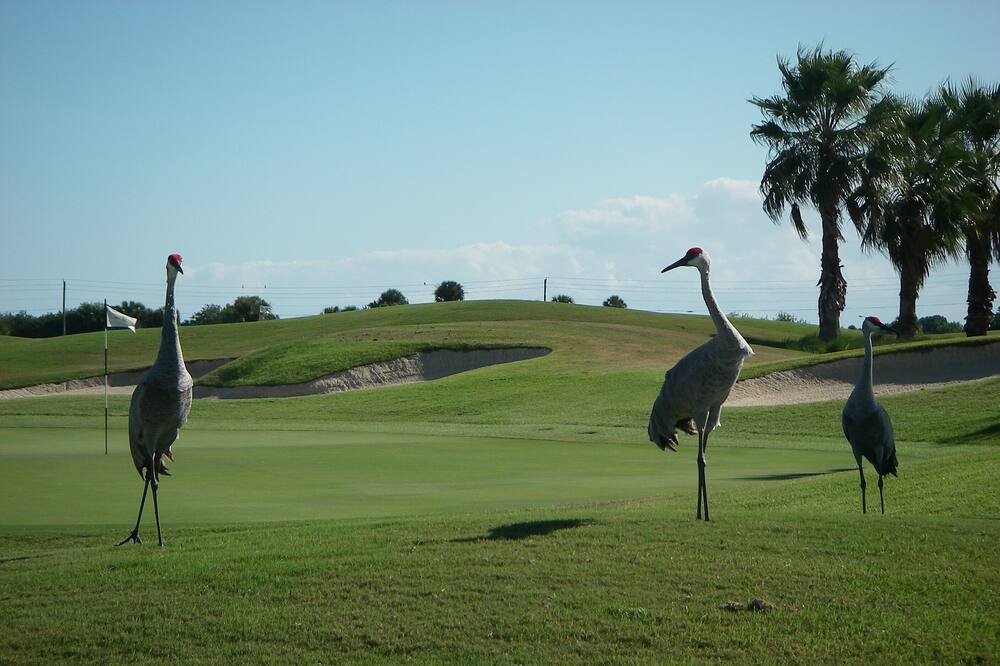 Photo of Others in Vero Beach