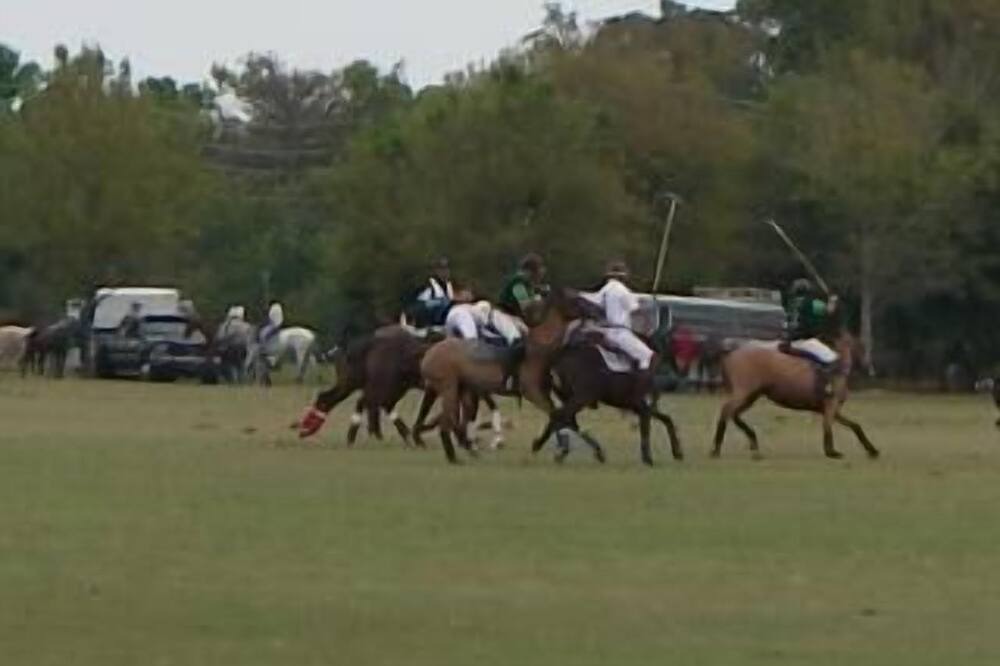 Photo of Others in Vero Beach