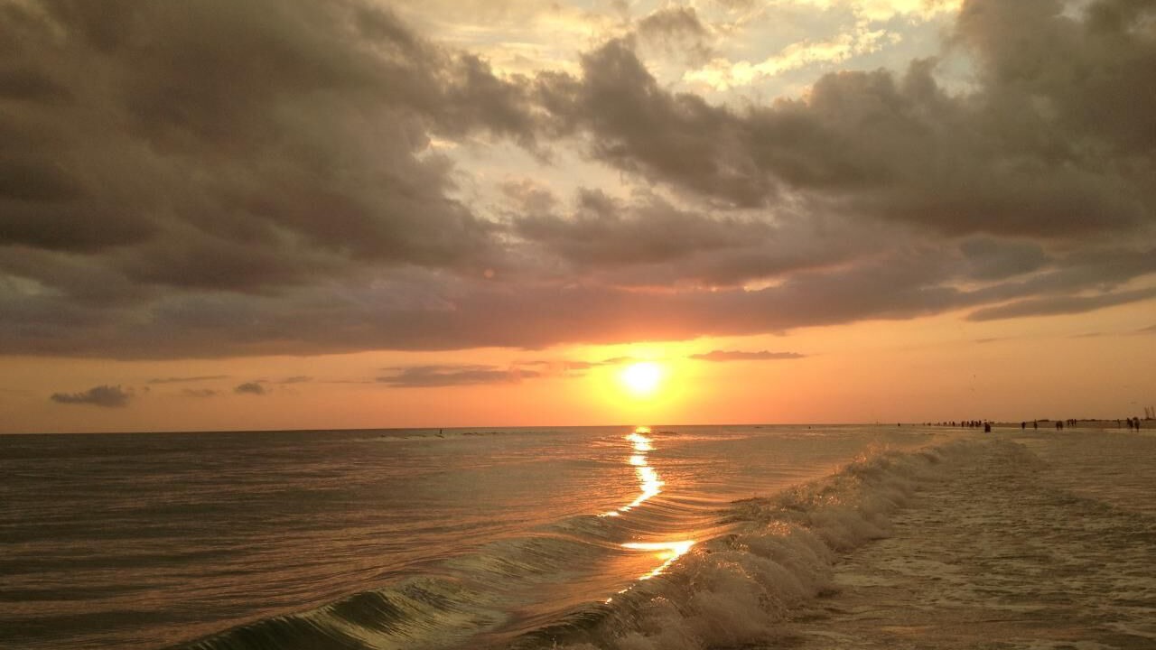 Photo of Others in South Sarasota