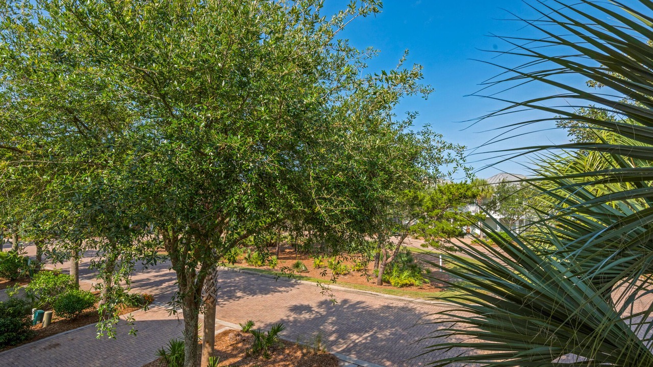 Photo of Outdoor in Miramar Beach