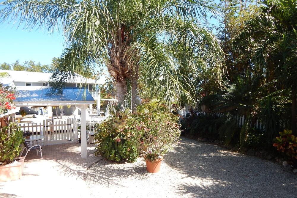Photo of Outdoor in Little Torch Key