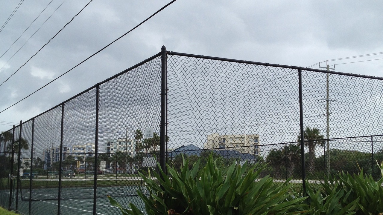Photo of Others in New Smyrna Beach