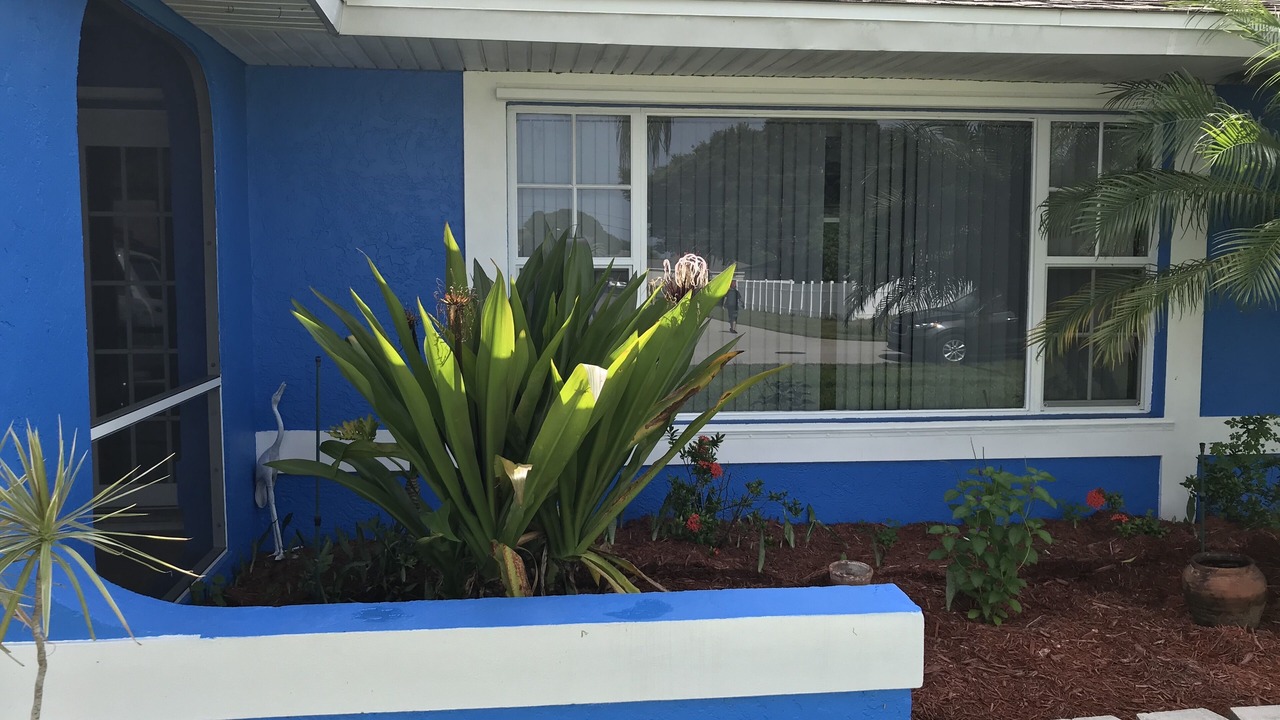 Photo of Outdoor in Fort Myers