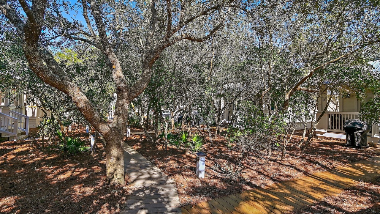 Photo of Outdoor in Seacrest