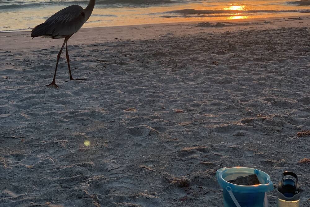Photo of Others in Whitney Beach