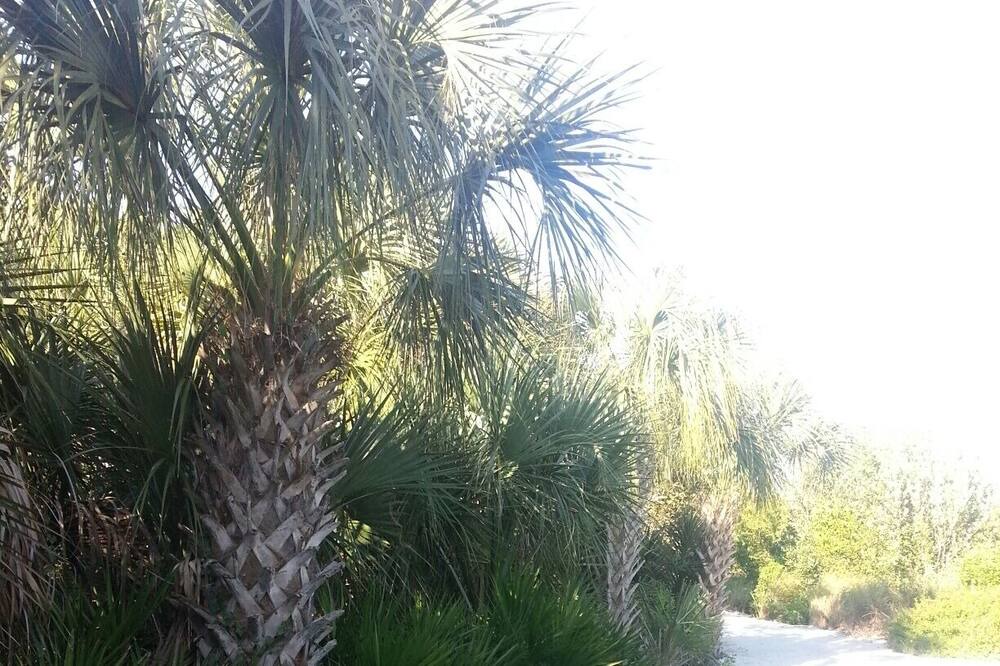 Photo of Outdoor in Whitney Beach