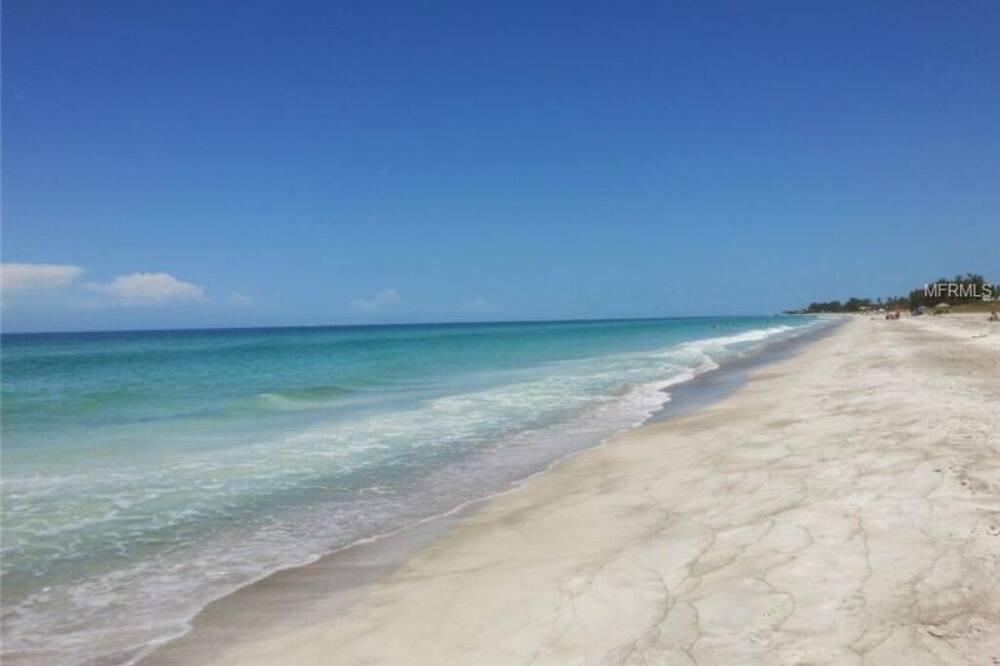 Photo of Others in Whitney Beach