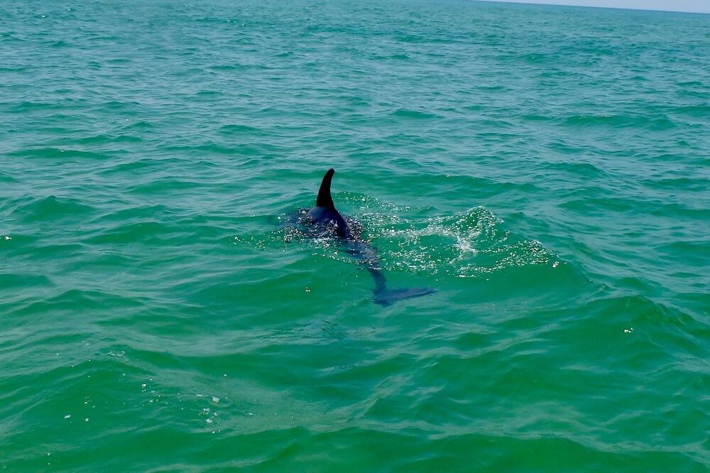 Photo of Others in Navarre Beach