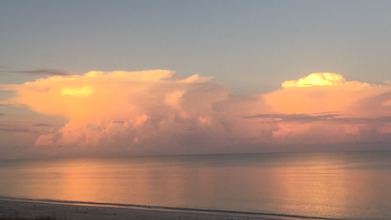 Photo of Others in Palm Island