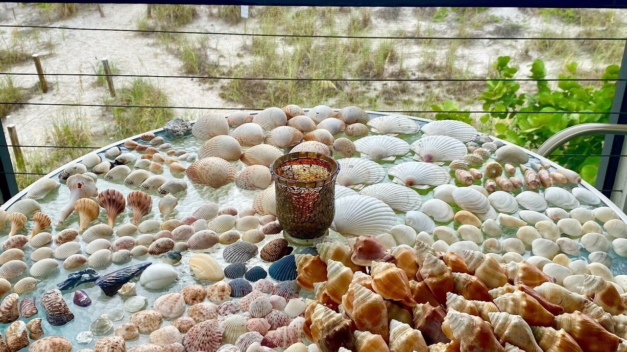 Photo of Others in Palm Island