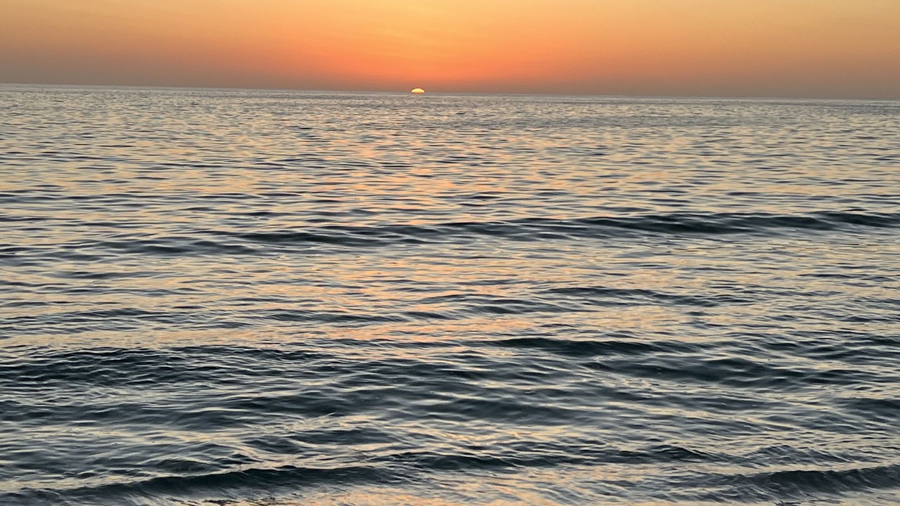 Photo of Others in Palm Island
