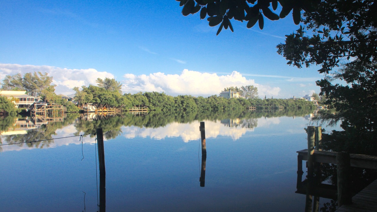 Photo of Outdoor in Palm Island