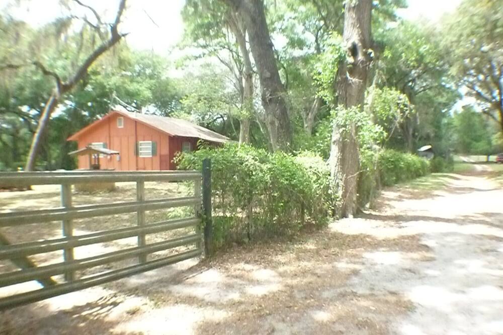 Photo of Others in Ocklawaha