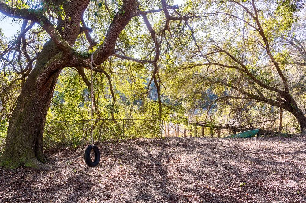Photo of Outdoor in Ocklawaha