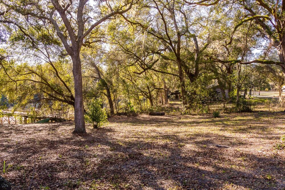 Photo of Outdoor in Ocklawaha