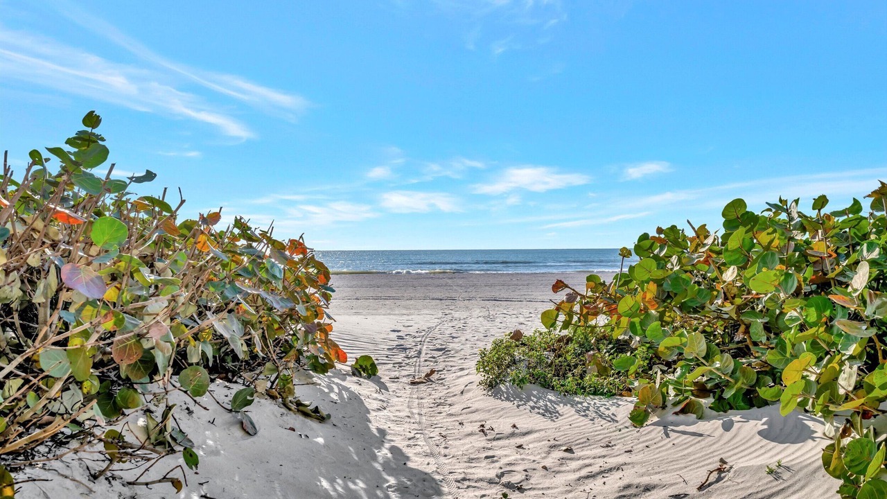 Photo of Others in Indian Shores