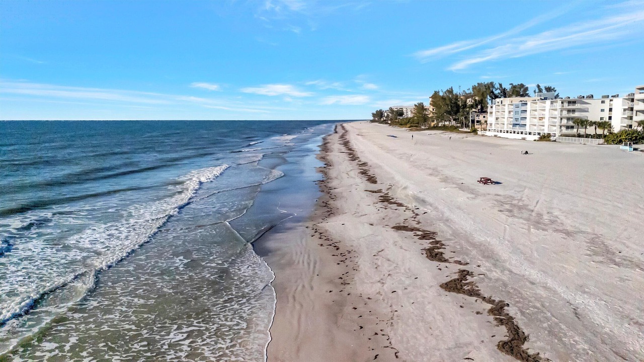 Photo of Others in Indian Shores