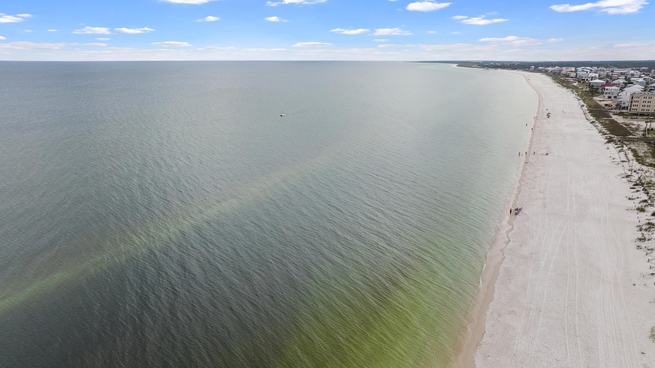 Photo of Others in Grand Isle