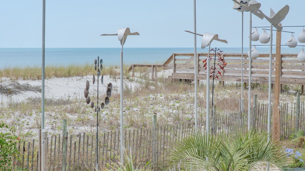 Photo of Outdoor in Mexico Beach