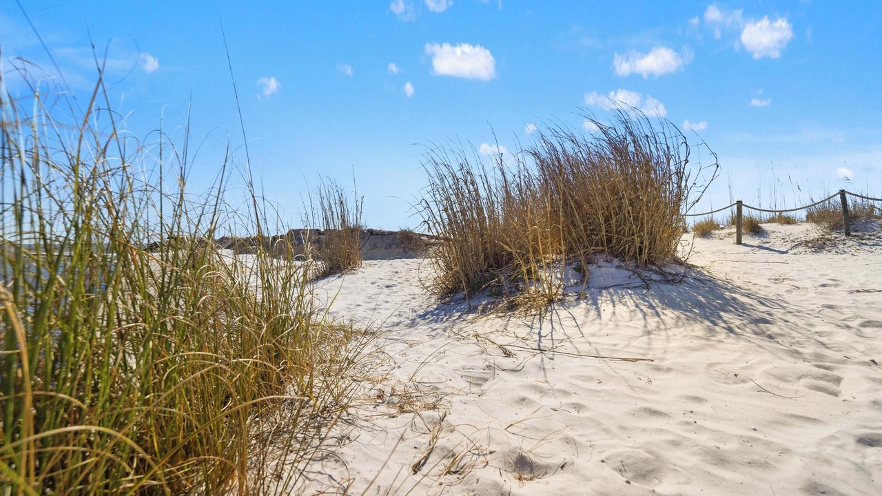 Photo of Others in Mexico Beach