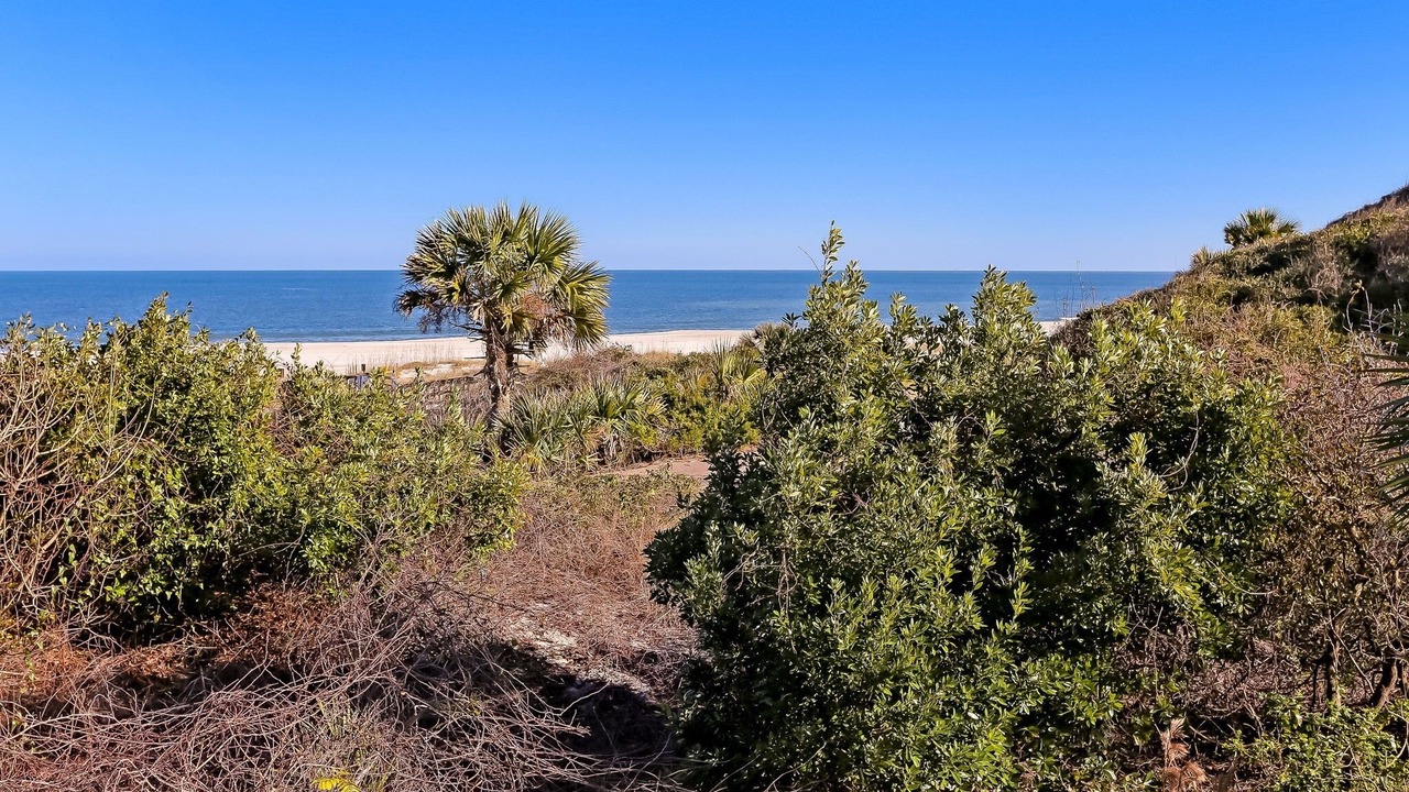 Photo of Others in Fernandina Beach