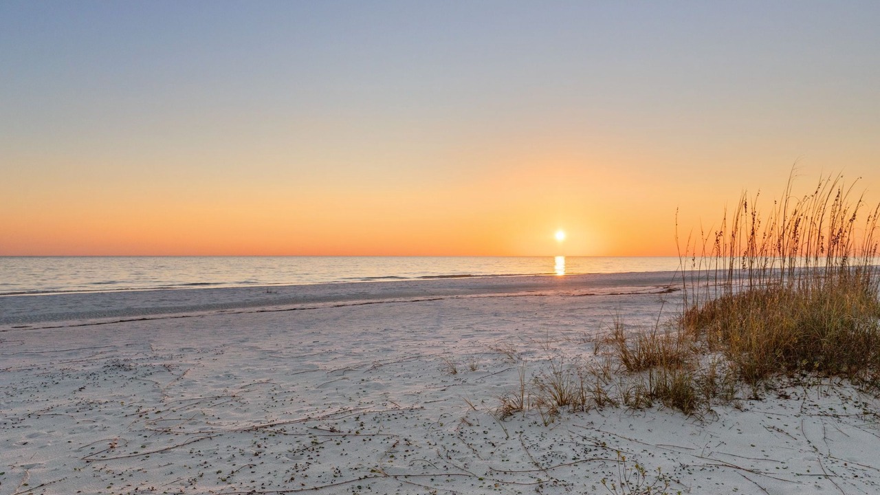 Photo of Others in Mexico Beach