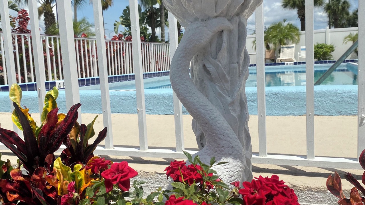 Photo of Outdoor in Kissimmee
