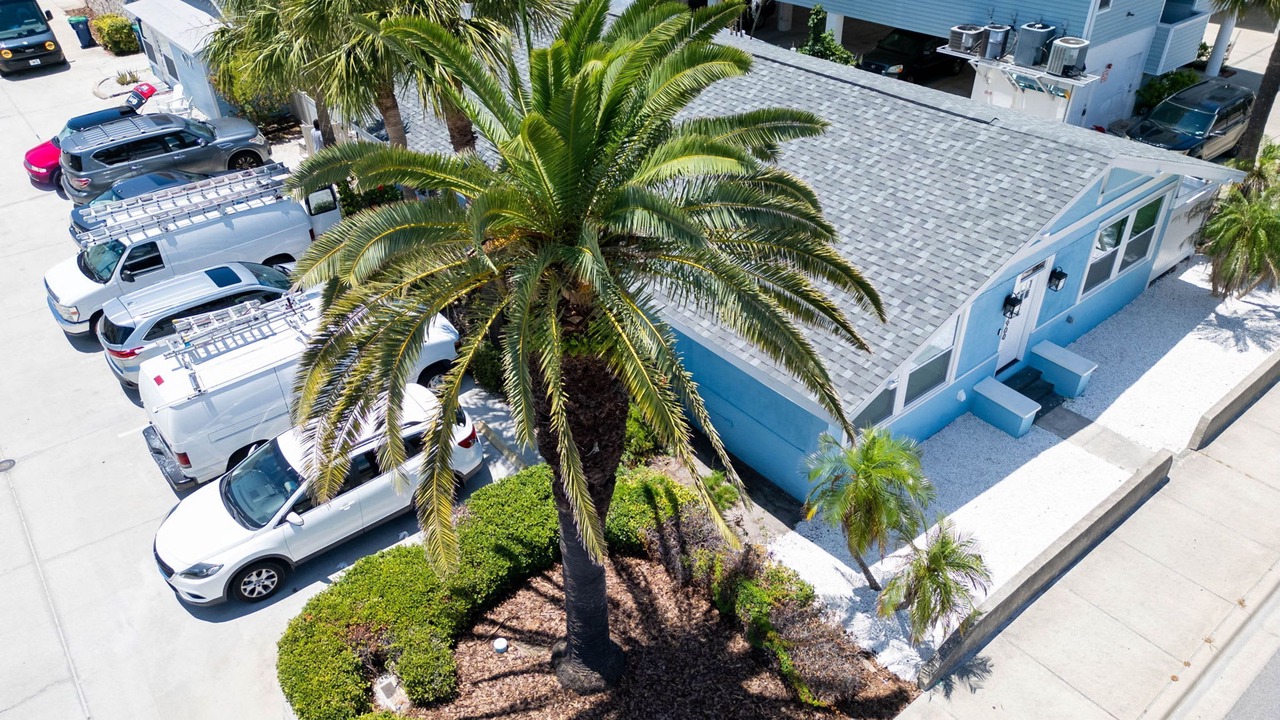Photo of Others in Indian Rocks Beach