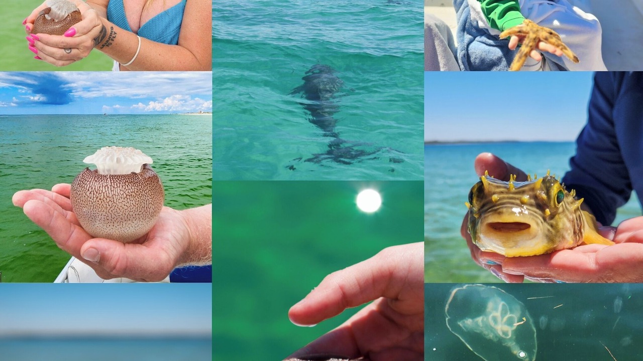Photo of Others in Panama City