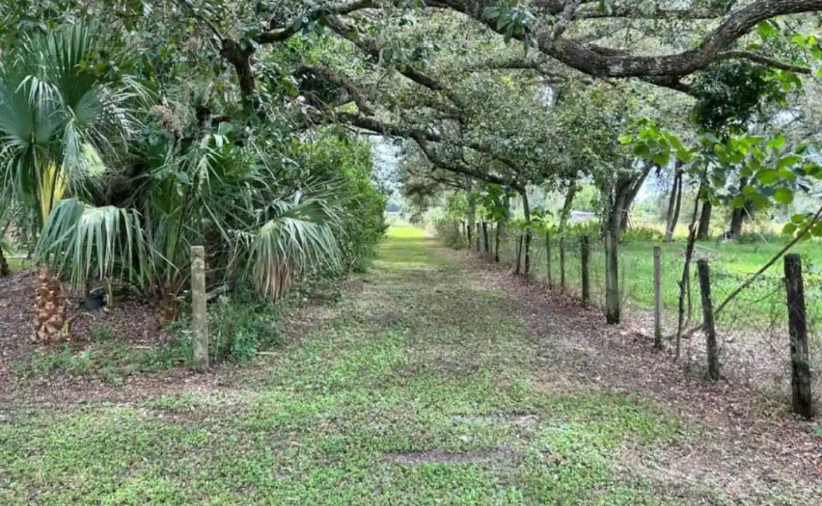 Photo of Others in Immokalee