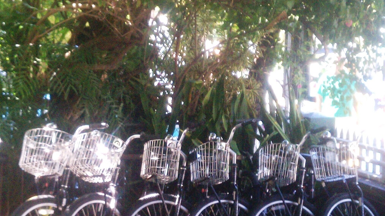 Photo of Outdoor in Downtown