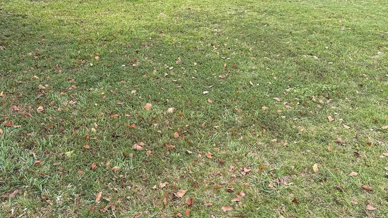 Photo of Outdoor in Bainbridge