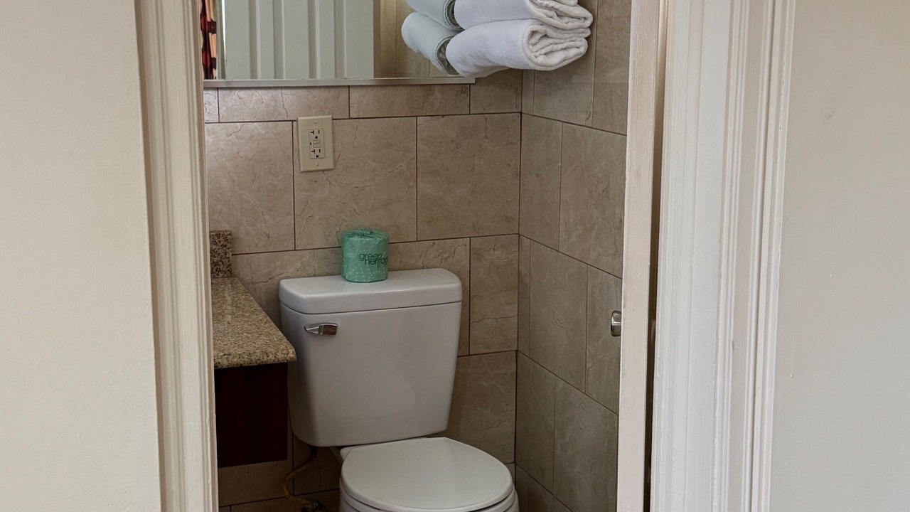 Photo of Bathroom in Telogia