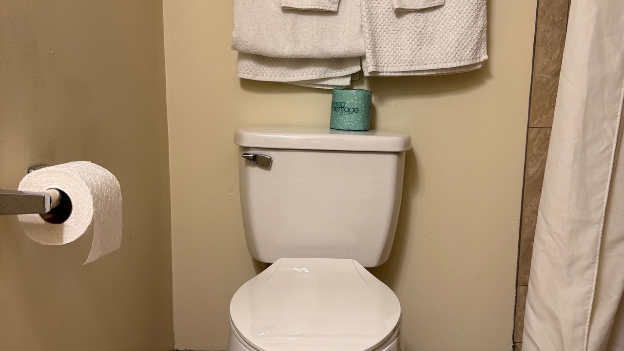Photo of Bathroom in Telogia