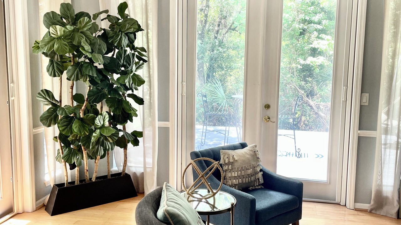 Photo of Livingroom in Wimauma
