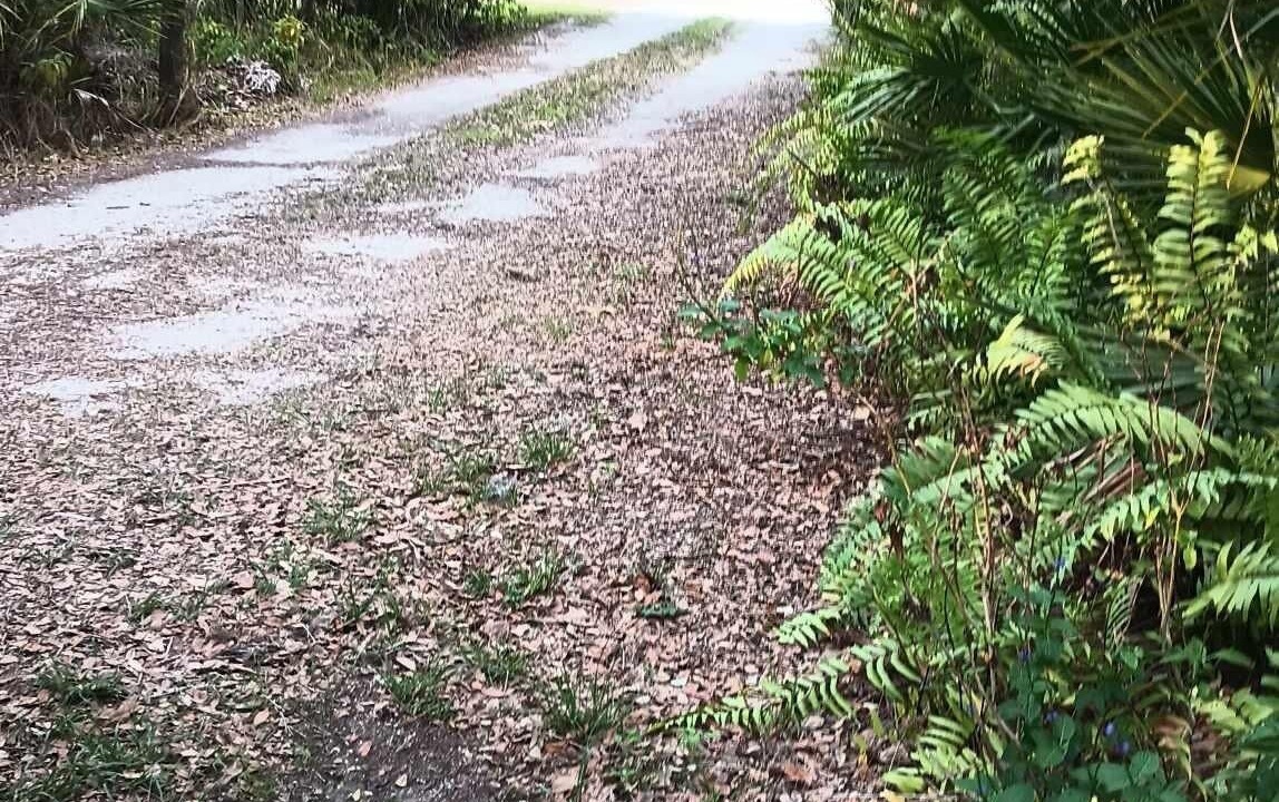 Photo of Outdoor in Wimauma