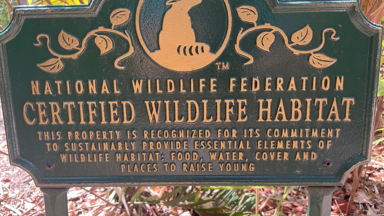 Photo of Others in Wimauma
