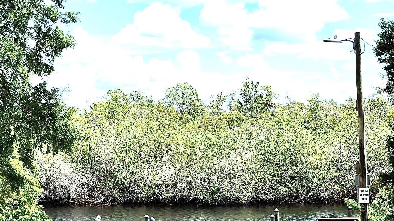 Photo of Outdoor in Wimauma