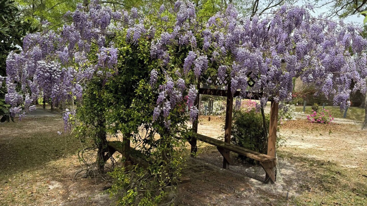 Photo of Outdoor in Metter