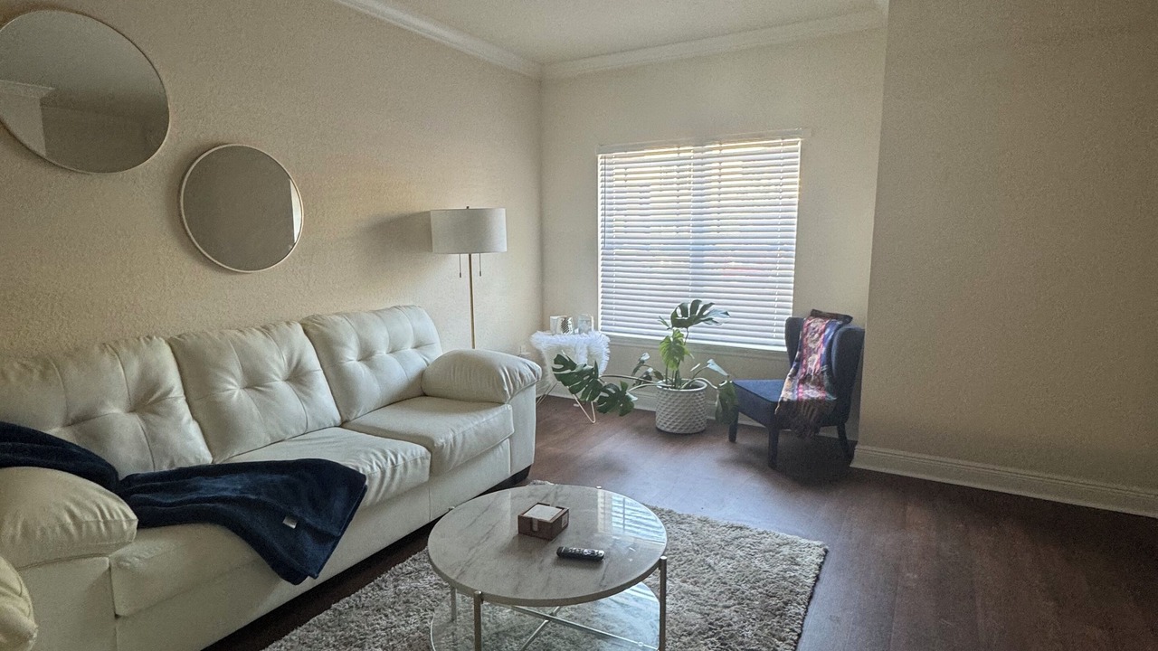 Photo of Livingroom in New Tampa