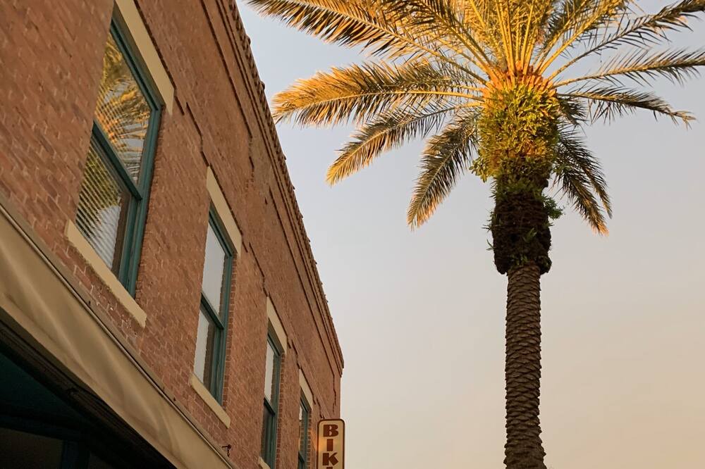Photo of Outdoor in New Smyrna Beach
