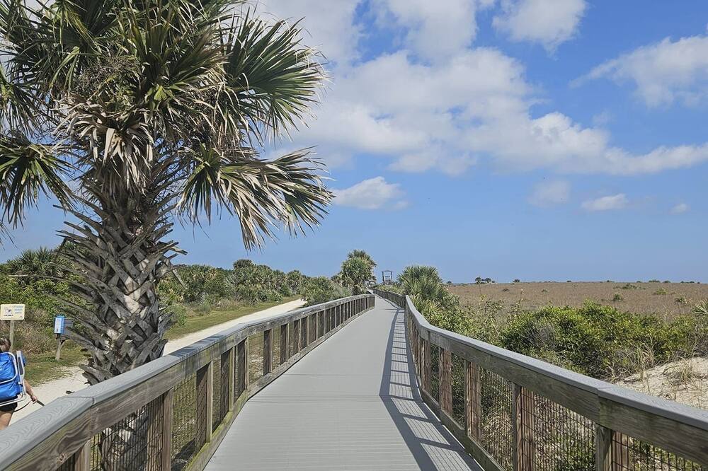 Photo of Others in New Smyrna Beach