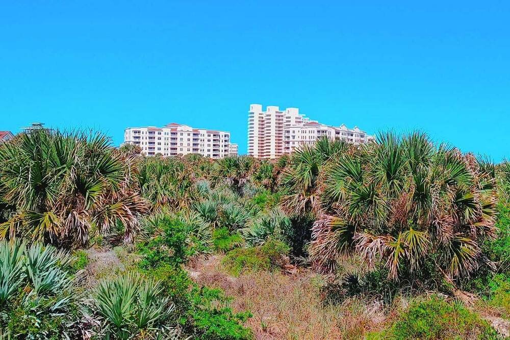 Photo of Others in New Smyrna Beach