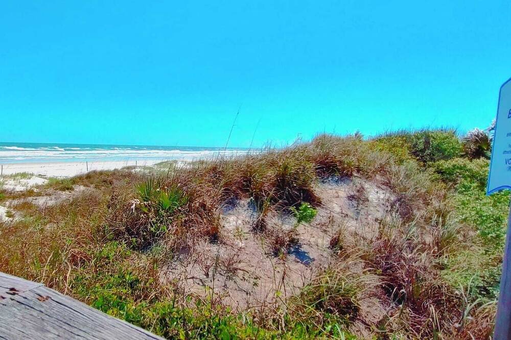 Photo of Others in New Smyrna Beach