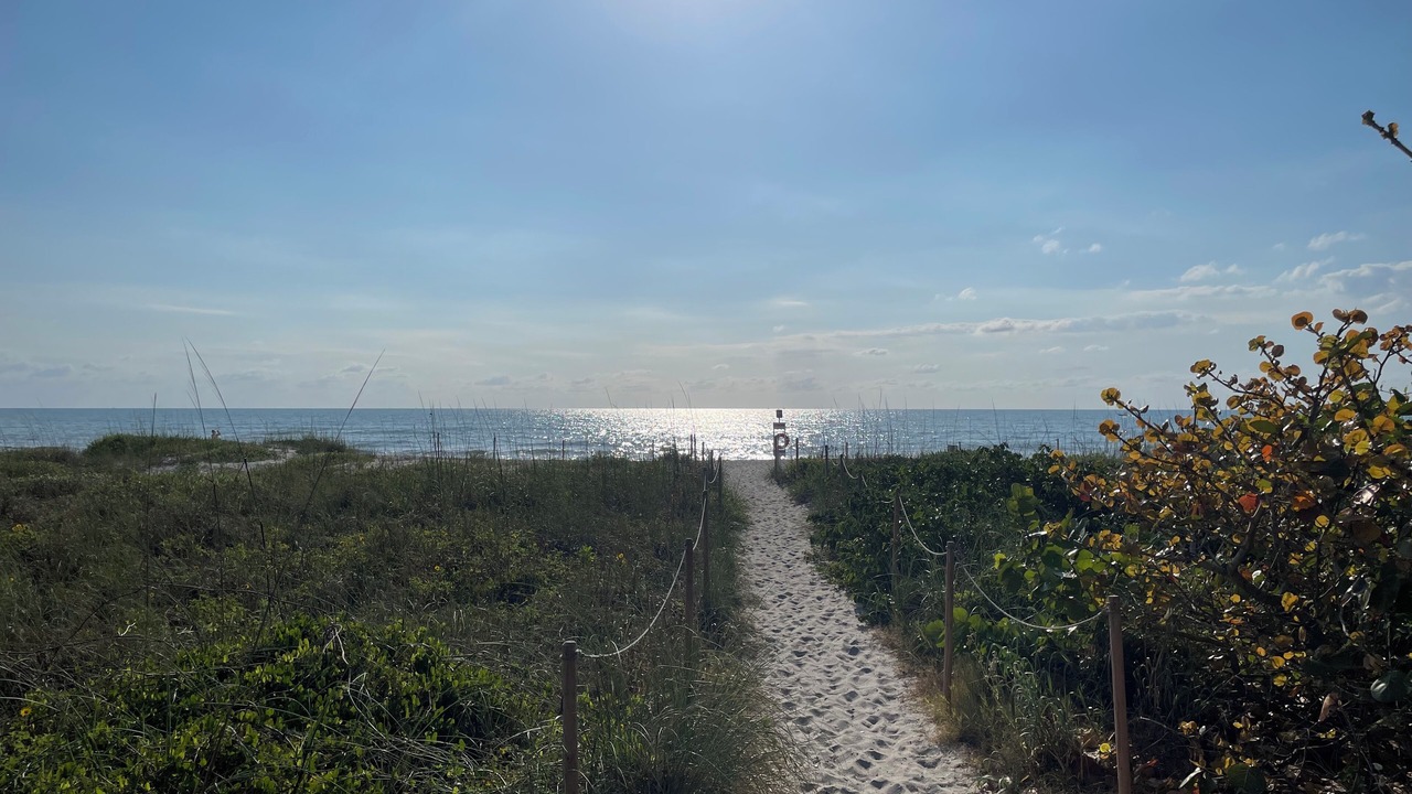 Photo of Others in Port Canaveral