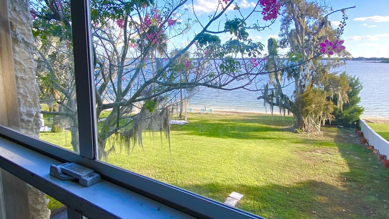 Photo of Others in Florida South Atlantic Coast