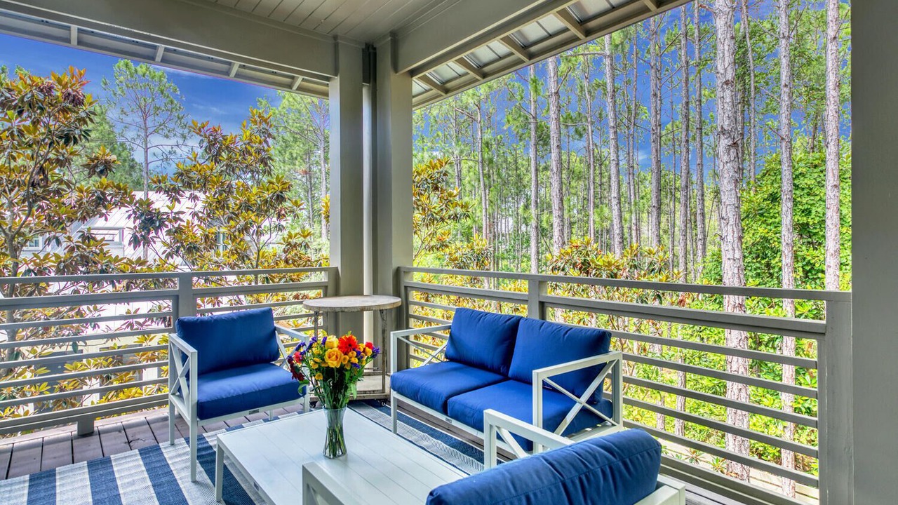 Photo of Outdoor in Forest District